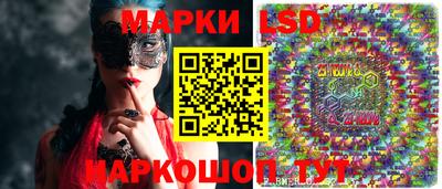 гидра Ставрополь
