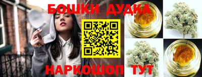 гидра Ставрополь