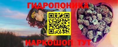 гидра Ставрополь