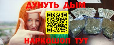 гидра Ставрополь