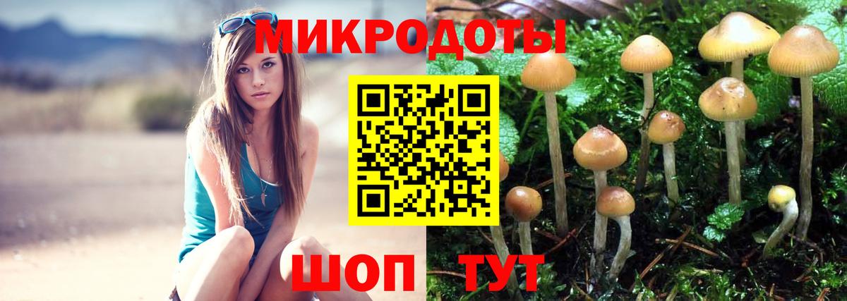 Псилоцибиновые грибы MAGIC MUSHROOMS  Псилоцибиновые грибы мицелий  Вход с VPN  Бийск 