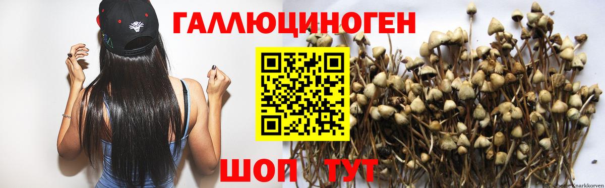 Галлюциногенные грибы прущие грибы Бийск